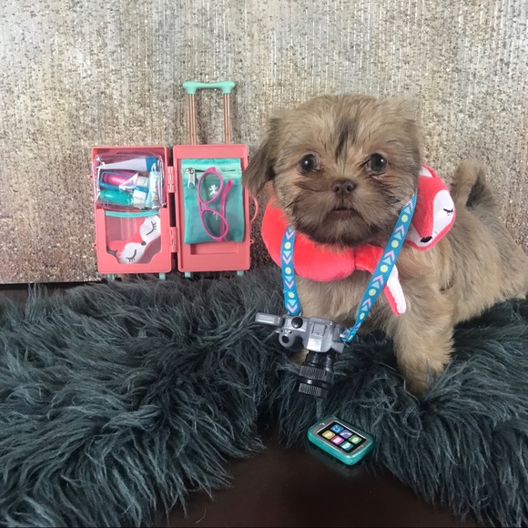 Meet your Posher, Largo - Picture 3 of 9